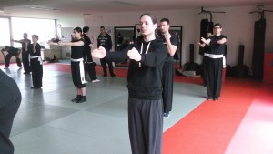 hunggarnancy-artsmartiaux-wushu-kungfu-ericbourbonnais-18janvier2015-10  